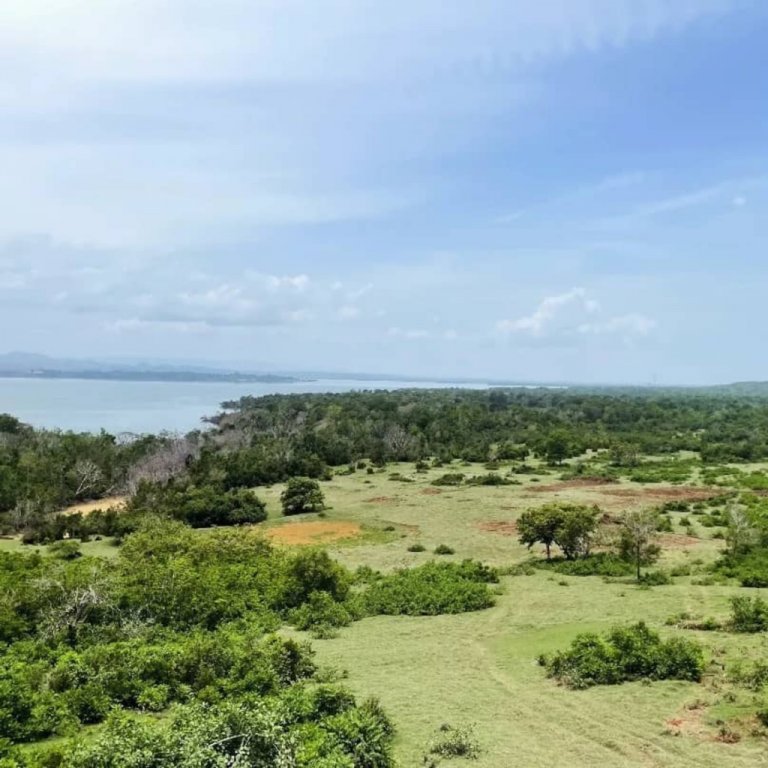 Villa Cayo Saetia