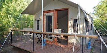 The Wild Olive Tree Camp