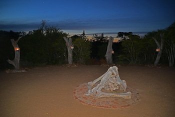 The Wild Olive Tree Camp