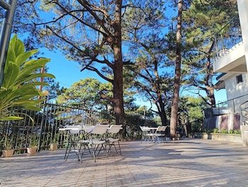Vista De Pino