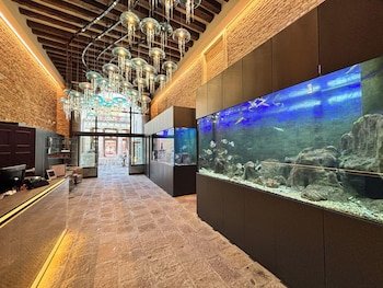 Hotel Aquarius