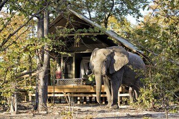 Hyena Pan Tented Camp