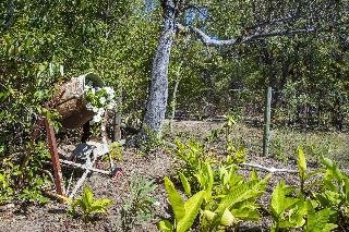 Magnetic Island Bed and Breakfast