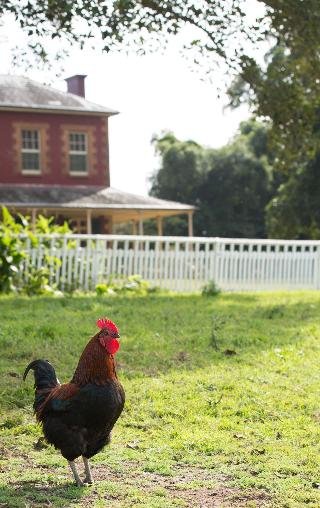 The Barracks Tocal