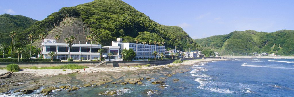 Hotel Green Plaza Kamogawa
